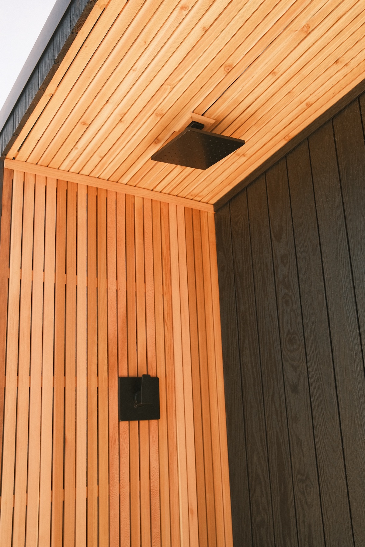 Matte black rain shower head and control mounted on the cedar-slatted porch