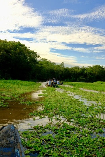 Canoeing a flooded river channel through the Amazon at dusk