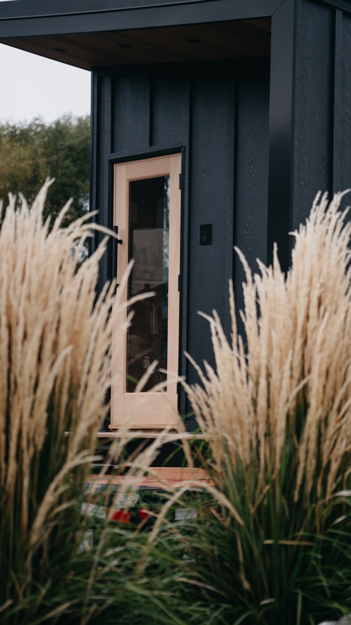 Charred board-and-batten corner of the 212 Designer behind ornamental grasses