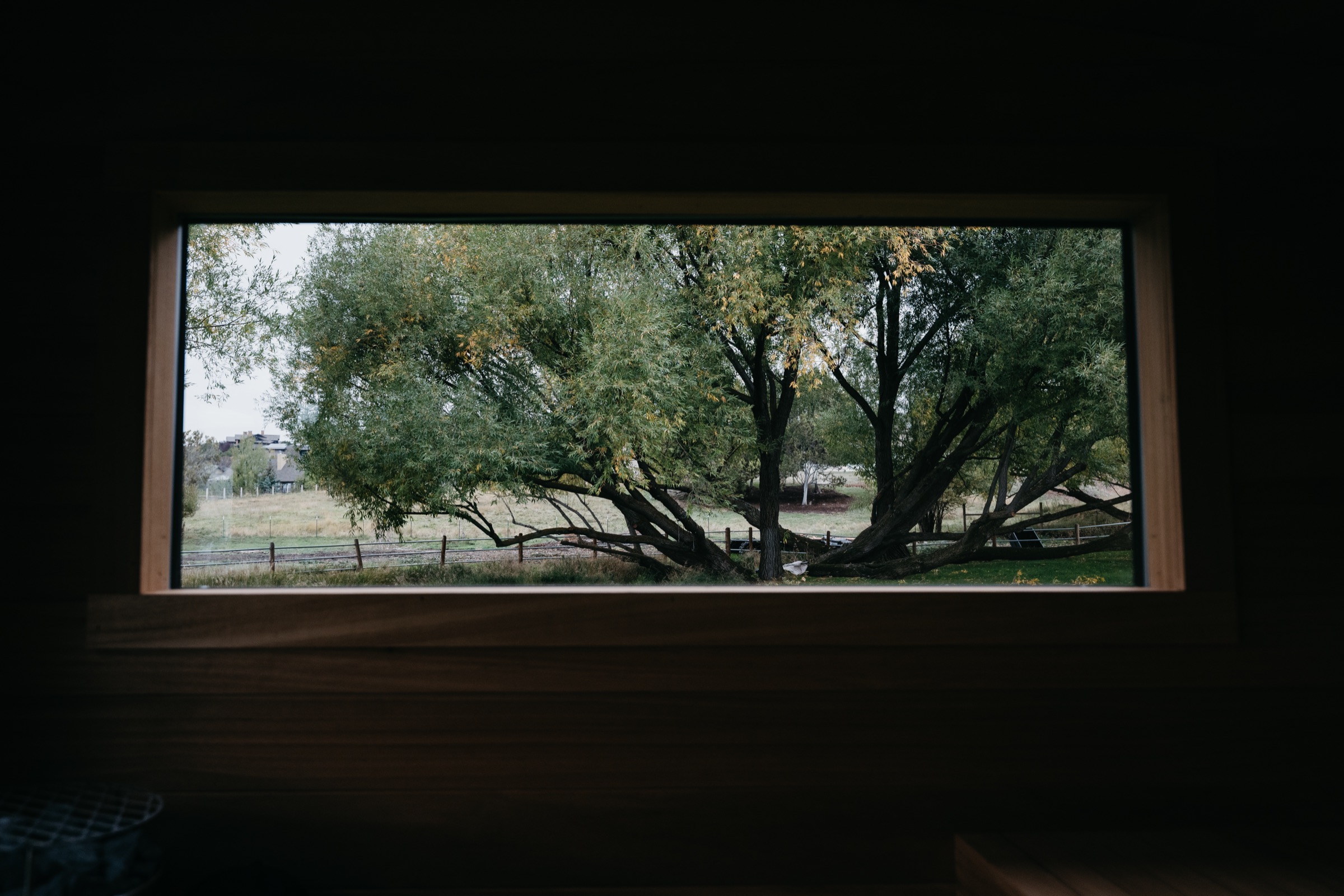 View out of the sauna window toward the trees